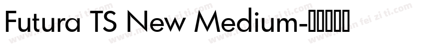 Futura TS New Medium字体转换
